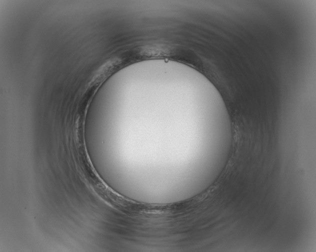 X0000077340163200610200950