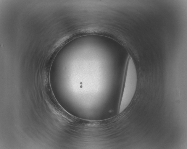 X0000077340164200610200950