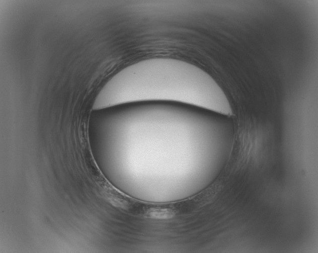 X0000077340169200610200950
