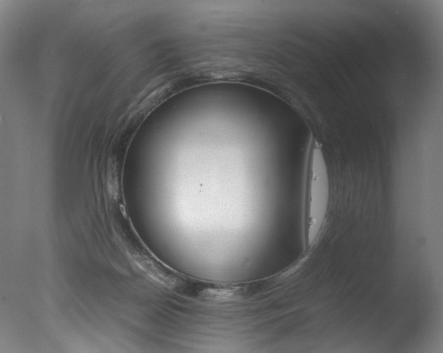 X0000077340170200610200950