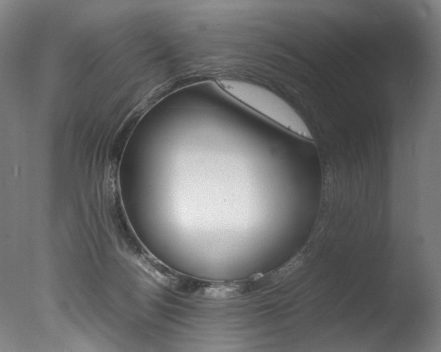 X0000077340172200610200950