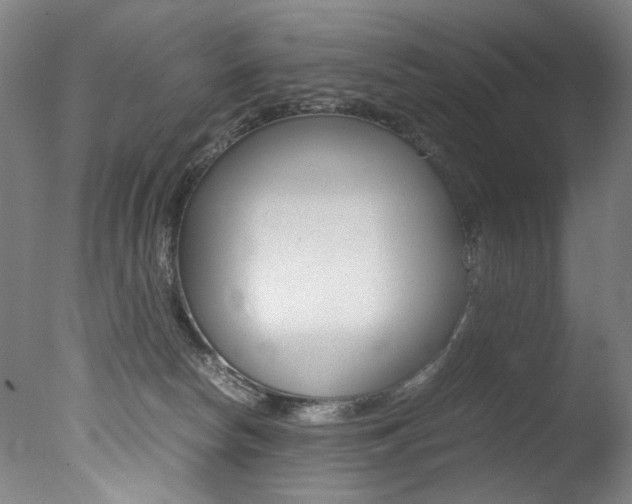 X0000077340178200610200950