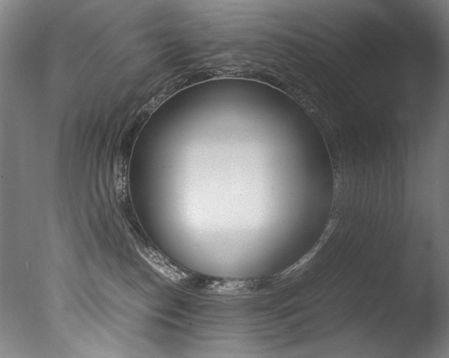 X0000077340186200610200950