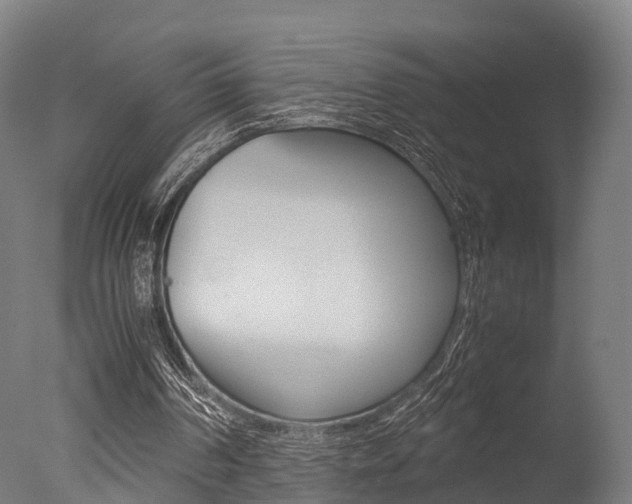 X0000077340194200610200949
