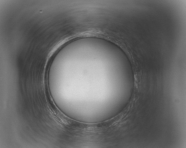 X0000077340196200610200949