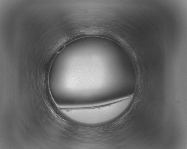 X0000077340201200610200949