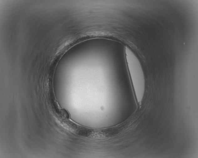 X0000077340207200610200949