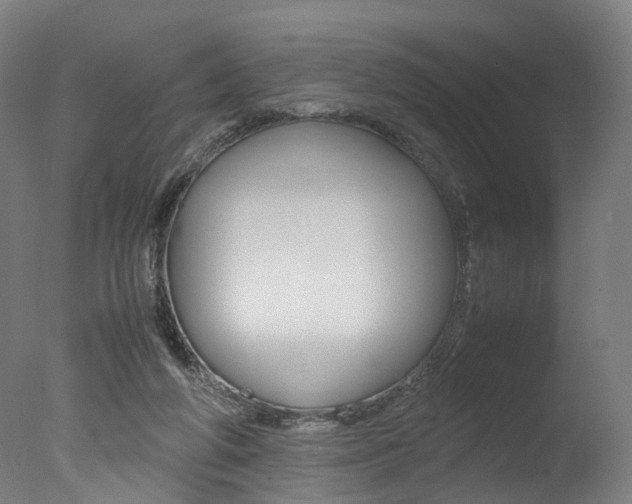X0000077340210200610200949