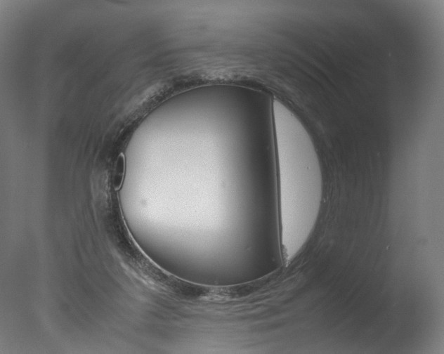 X0000077340211200610200949