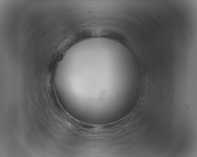 X0000077340219200610200949