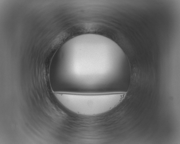X0000077340220200610200949