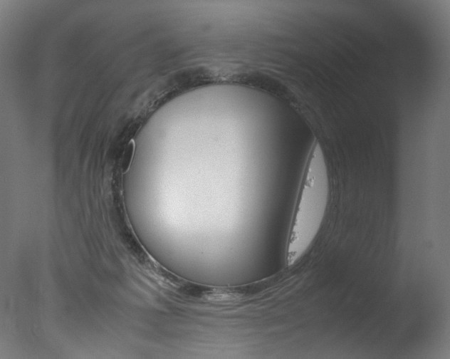 X0000077340221200610200949