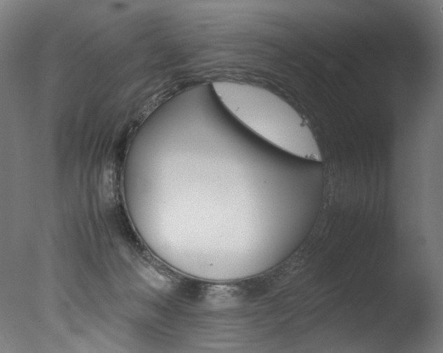 X0000077340222200610200949