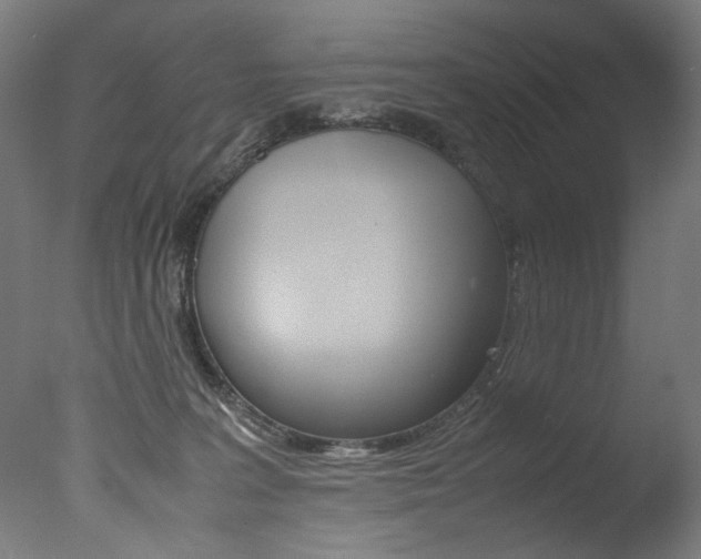 X0000077340227200610200949