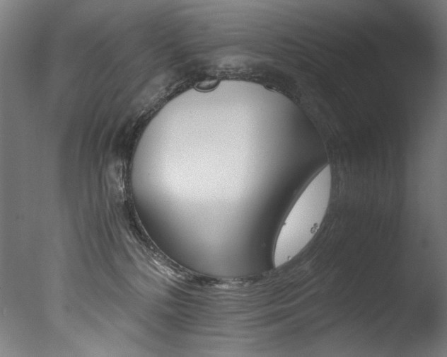 X0000077340232200610200949