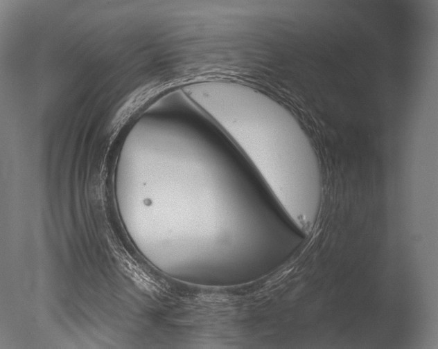 X0000077340242200610200948