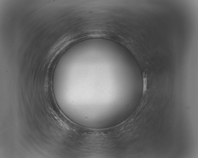 X0000077340243200610200948