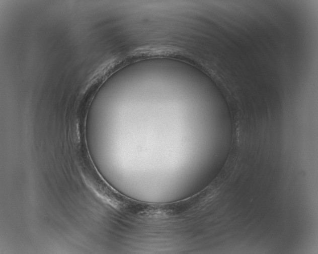 X0000077340254200610200948