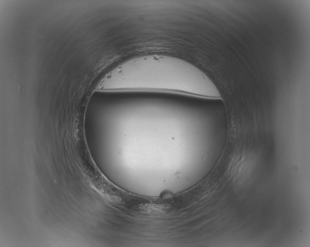 X0000077340255200610200948