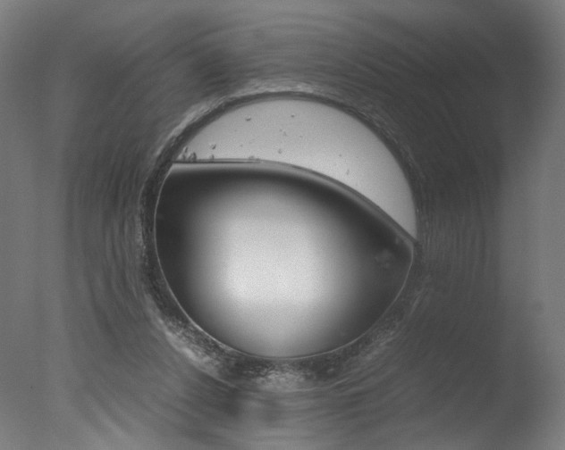 X0000077340256200610200948