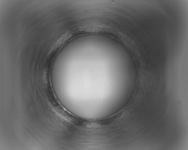 X0000077340258200610200948