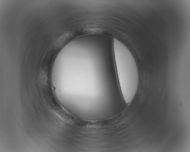 X0000077340259200610200948