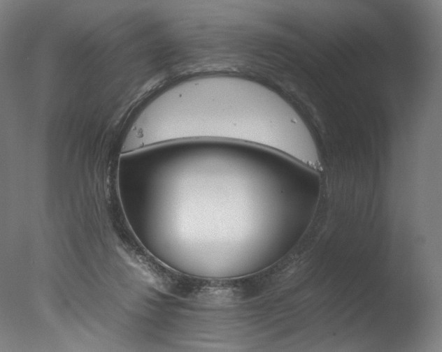 X0000077340260200610200948