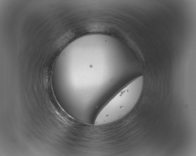 X0000077340261200610200948