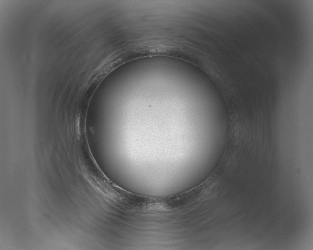 X0000077340262200610200948