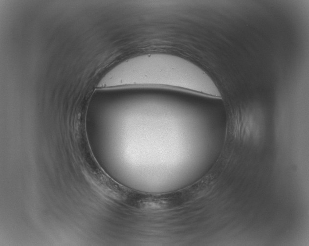 X0000077340263200610200948