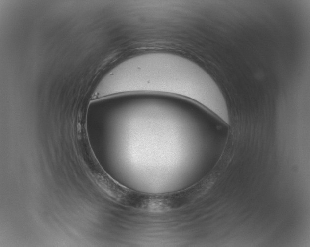 X0000077340264200610200948