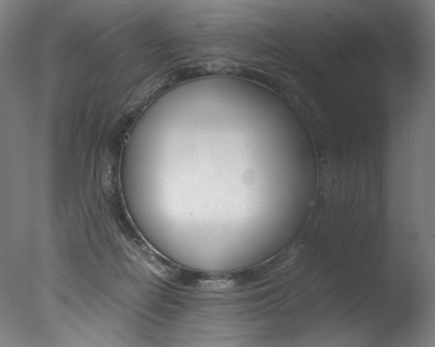 X0000077340266200610200948