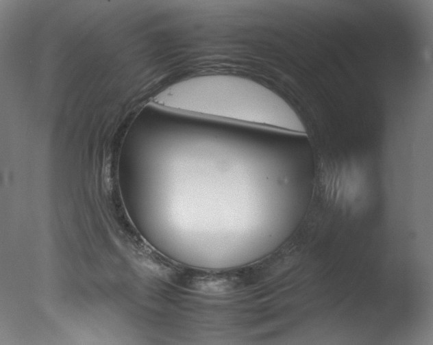 X0000077340267200610200948