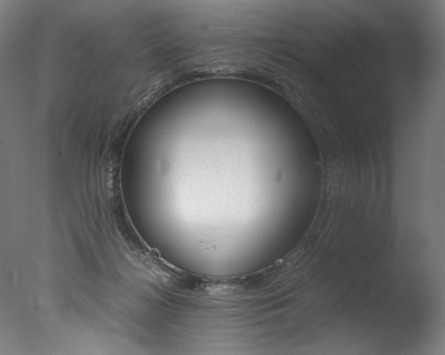 X0000077340268200610200948