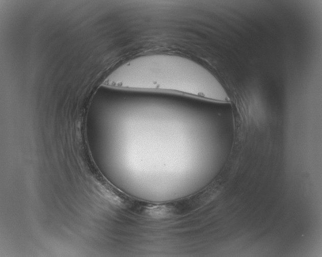 X0000077340269200610200948