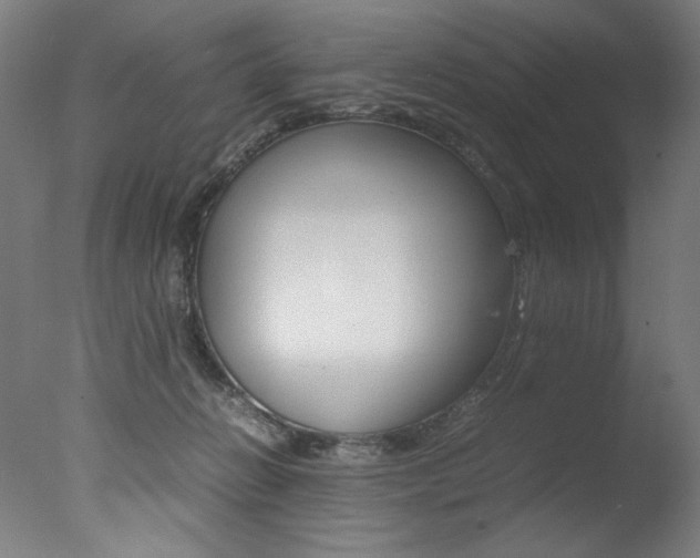 X0000077340270200610200948