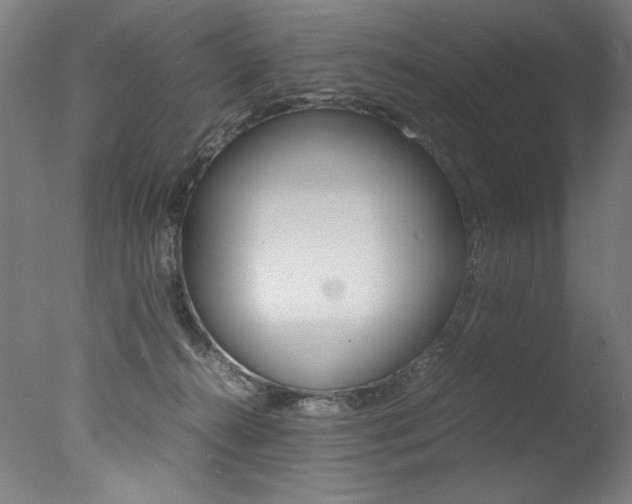 X0000077340272200610200948