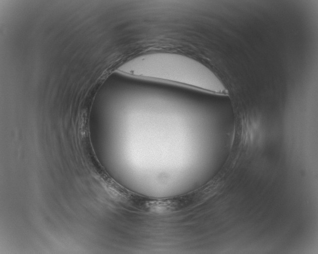 X0000077340273200610200948