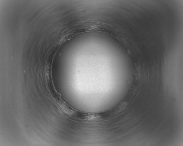 X0000077340274200610200948