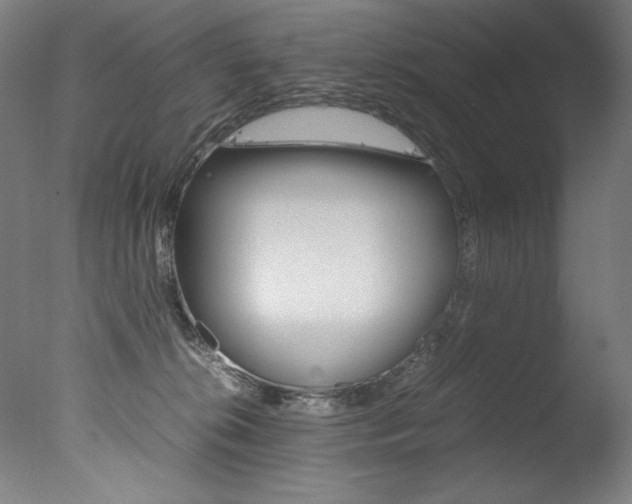 X0000077340276200610200948