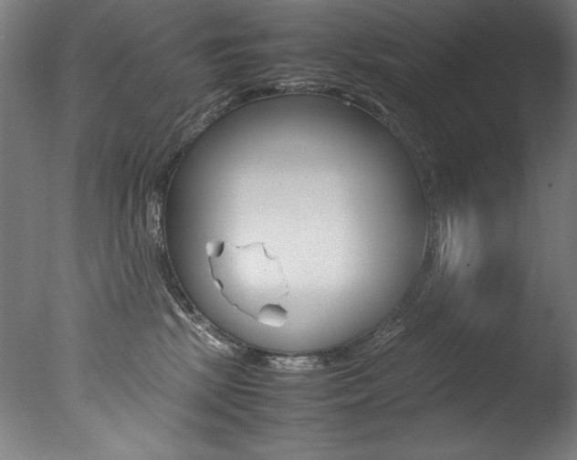 X0000077340281200610200948