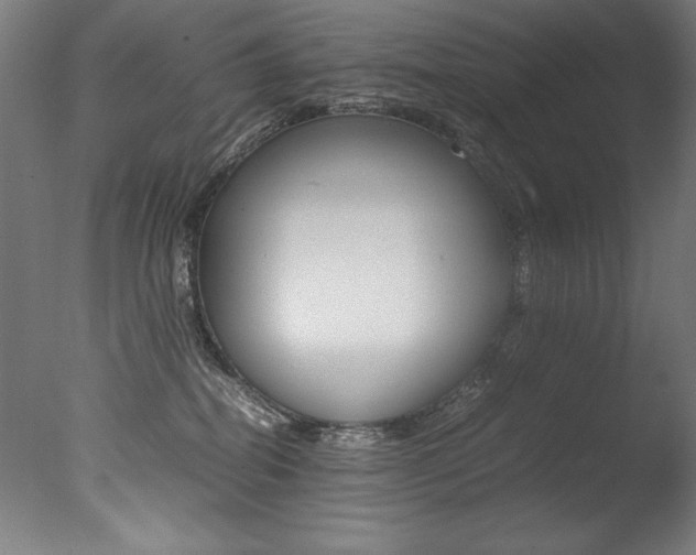 X0000077340282200610200948