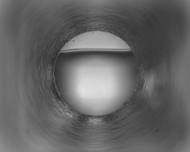 X0000077340283200610200948