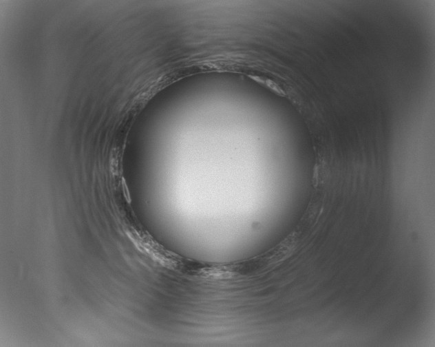 X0000077340284200610200948