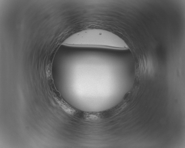 X0000077340285200610200948