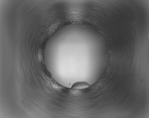 X0000077340287200610200949