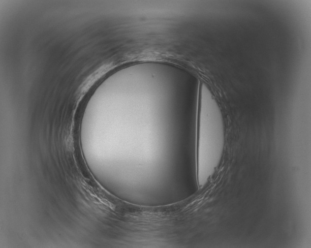 X0000077340292200610200948