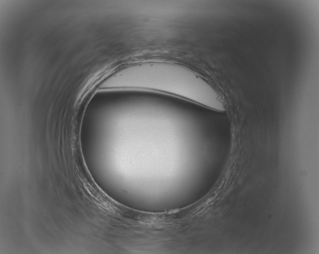 X0000077340293200610200948