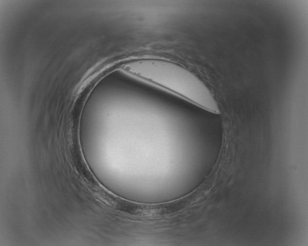 X0000077340295200610200948