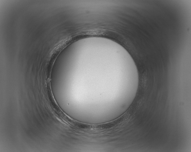 X0000077340303200610200947